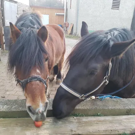 Apartman Nuibauers-hof