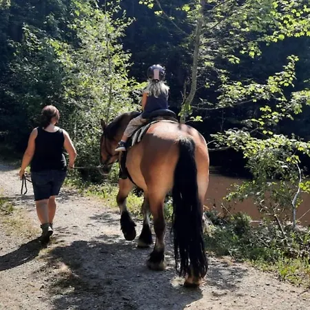 Nuibauers-hof Διαμέρισμα *